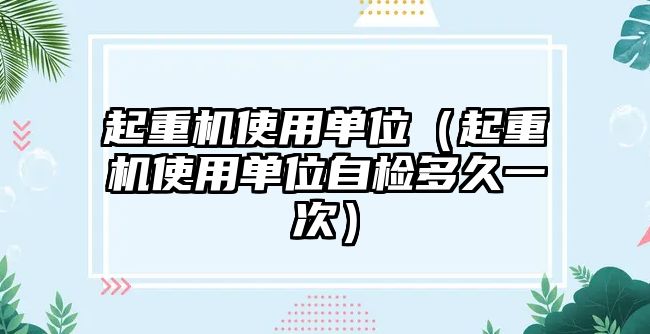 起重機(jī)使用單位（起重機(jī)使用單位自檢多久一次）