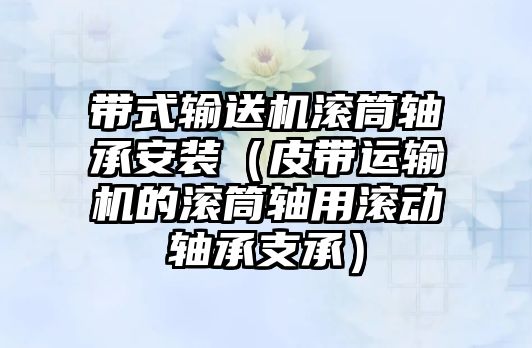 帶式輸送機滾筒軸承安裝（皮帶運輸機的滾筒軸用滾動軸承支承）