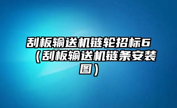 刮板輸送機(jī)鏈輪招標(biāo)6（刮板輸送機(jī)鏈條安裝圖）