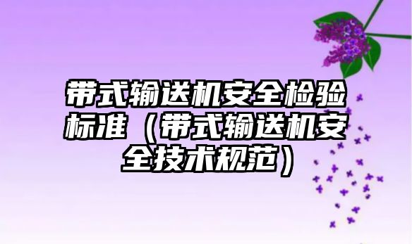 帶式輸送機(jī)安全檢驗標(biāo)準(zhǔn)（帶式輸送機(jī)安全技術(shù)規(guī)范）