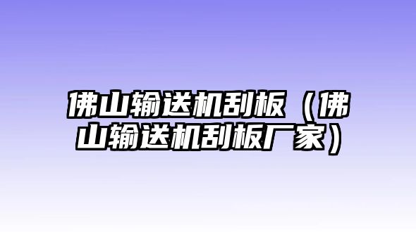 佛山輸送機(jī)刮板（佛山輸送機(jī)刮板廠家）