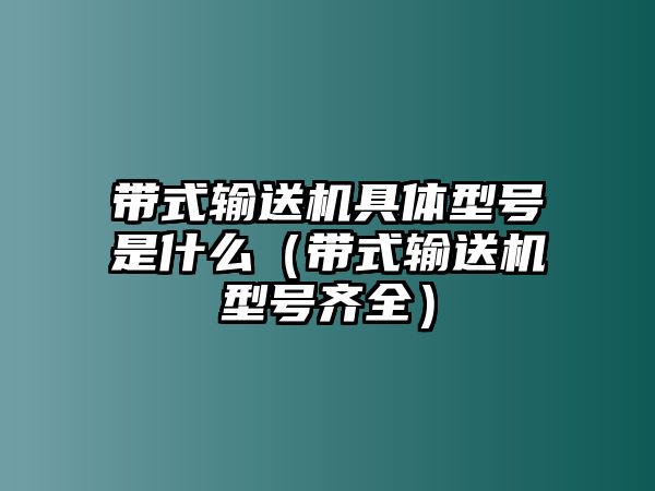 帶式輸送機具體型號是什么（帶式輸送機型號齊全）