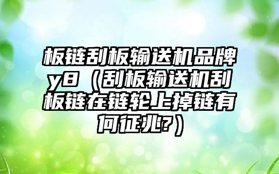 板鏈刮板輸送機(jī)品牌y8（刮板輸送機(jī)刮板鏈在鏈輪上掉鏈有何征兆?）