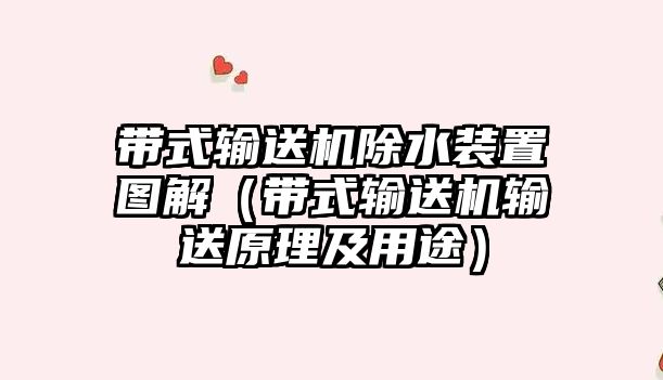 帶式輸送機(jī)除水裝置圖解（帶式輸送機(jī)輸送原理及用途）