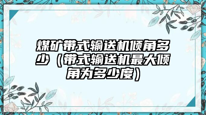 煤礦帶式輸送機傾角多少（帶式輸送機最大傾角為多少度）