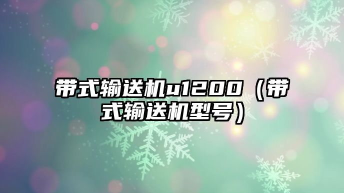 帶式輸送機u1200（帶式輸送機型號）