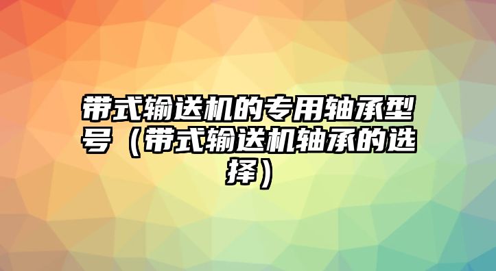 帶式輸送機的專用軸承型號（帶式輸送機軸承的選擇）