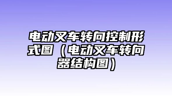 電動叉車轉(zhuǎn)向控制形式圖（電動叉車轉(zhuǎn)向器結(jié)構(gòu)圖）