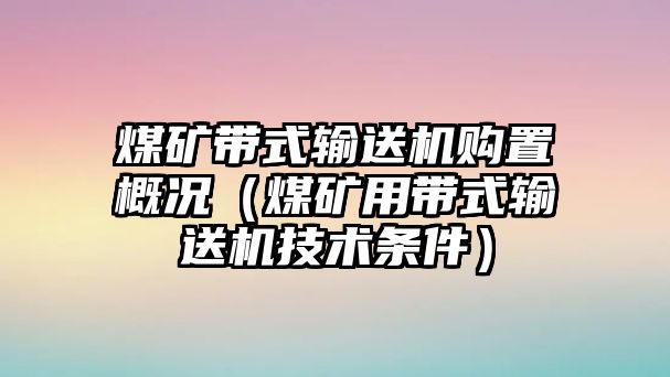 煤礦帶式輸送機購置概況（煤礦用帶式輸送機技術(shù)條件）