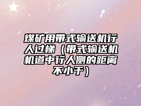 煤礦用帶式輸送機(jī)行人過(guò)梯（帶式輸送機(jī)機(jī)道中行人側(cè)的距離不小于）