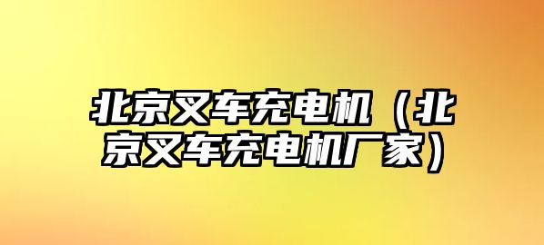 北京叉車充電機（北京叉車充電機廠家）