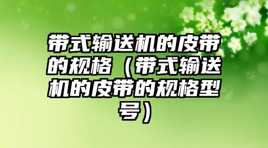 帶式輸送機(jī)的皮帶的規(guī)格（帶式輸送機(jī)的皮帶的規(guī)格型號(hào)）