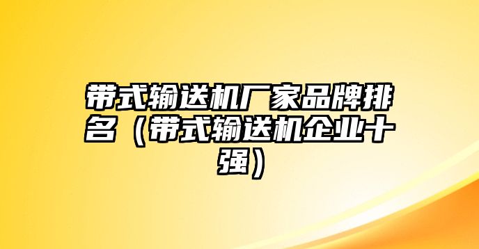 帶式輸送機廠家品牌排名（帶式輸送機企業(yè)十強）