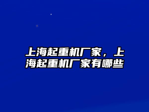 上海起重機(jī)廠家，上海起重機(jī)廠家有哪些