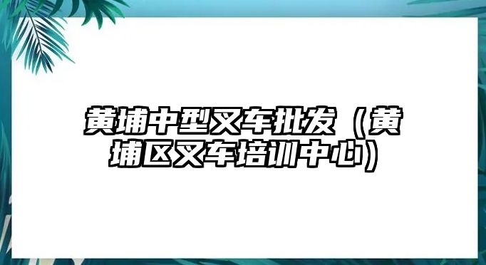 黃埔中型叉車批發(fā)（黃埔區(qū)叉車培訓中心）