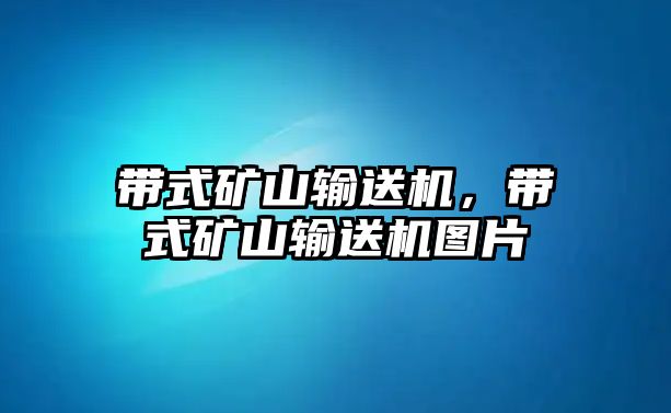 帶式礦山輸送機(jī)，帶式礦山輸送機(jī)圖片