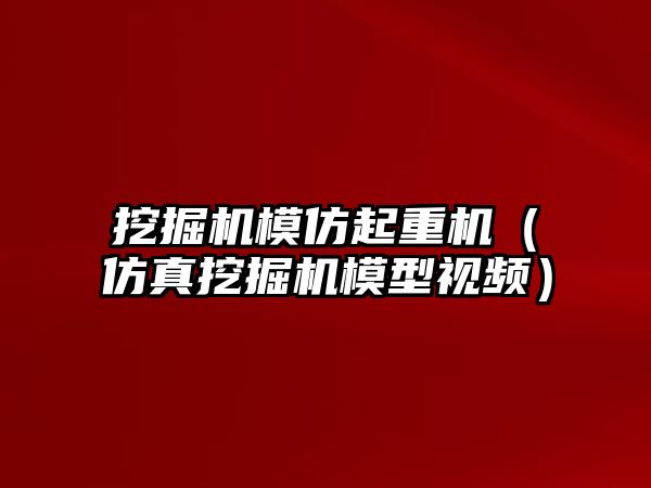 挖掘機模仿起重機（仿真挖掘機模型視頻）