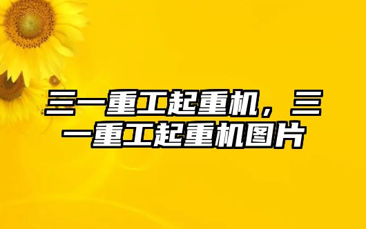 三一重工起重機(jī)，三一重工起重機(jī)圖片