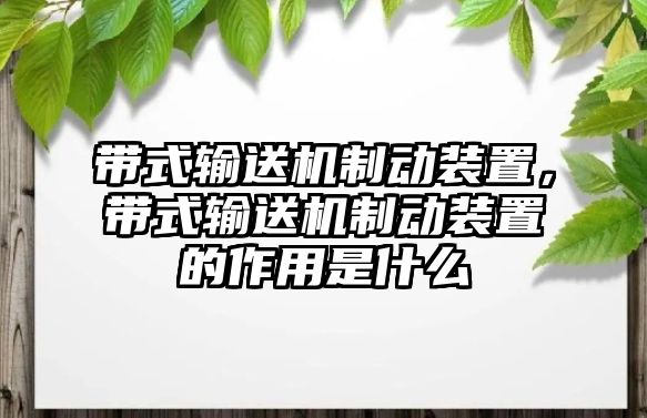 帶式輸送機(jī)制動(dòng)裝置，帶式輸送機(jī)制動(dòng)裝置的作用是什么