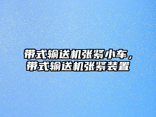 帶式輸送機(jī)張緊小車，帶式輸送機(jī)張緊裝置