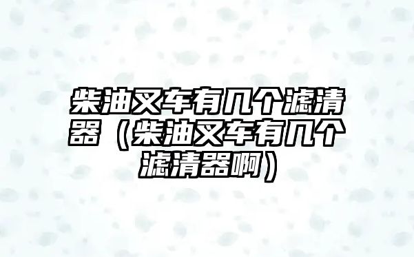 柴油叉車有幾個(gè)濾清器（柴油叉車有幾個(gè)濾清器?。? class=