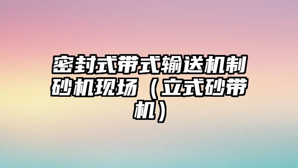 密封式帶式輸送機(jī)制砂機(jī)現(xiàn)場(chǎng)（立式砂帶機(jī)）