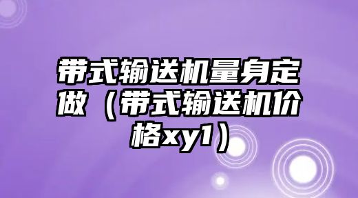 帶式輸送機量身定做（帶式輸送機價格xy1）