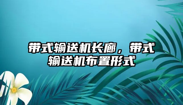 帶式輸送機長廊，帶式輸送機布置形式