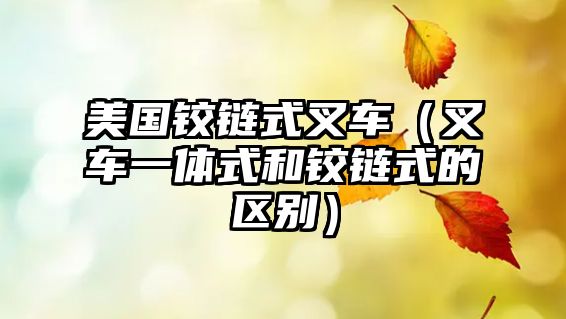 美國(guó)鉸鏈?zhǔn)讲孳?chē)（叉車(chē)一體式和鉸鏈?zhǔn)降膮^(qū)別）