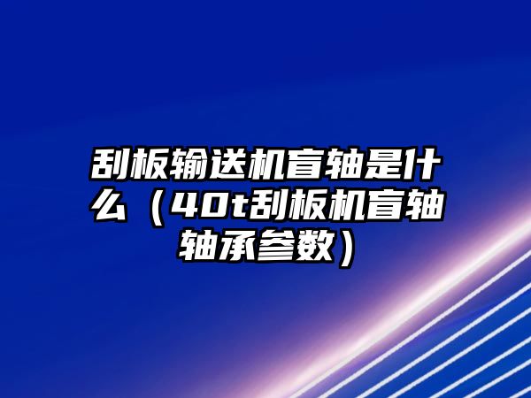 刮板輸送機盲軸是什么（40t刮板機盲軸軸承參數(shù)）