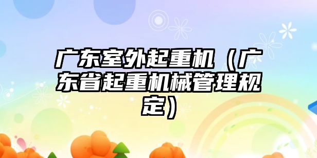 廣東室外起重機(jī)（廣東省起重機(jī)械管理規(guī)定）