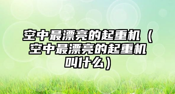 空中最漂亮的起重機(jī)（空中最漂亮的起重機(jī)叫什么）