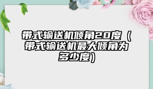 帶式輸送機傾角20度（帶式輸送機最大傾角為多少度）