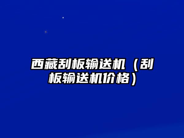 西藏刮板輸送機(jī)（刮板輸送機(jī)價格）