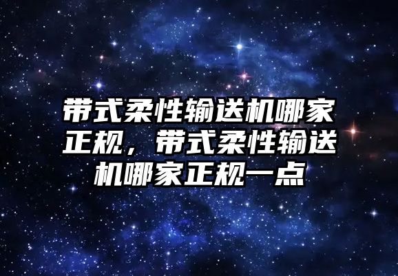 帶式柔性輸送機(jī)哪家正規(guī)，帶式柔性輸送機(jī)哪家正規(guī)一點(diǎn)