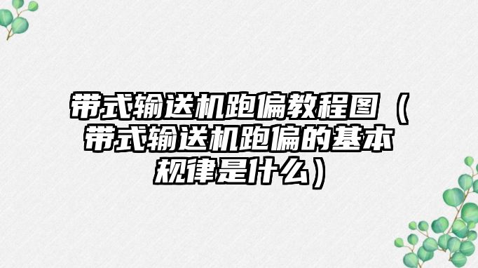 帶式輸送機跑偏教程圖（帶式輸送機跑偏的基本規(guī)律是什么）