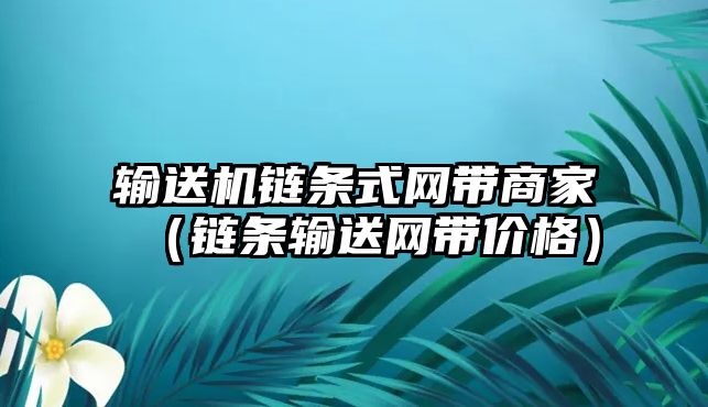 輸送機(jī)鏈條式網(wǎng)帶商家（鏈條輸送網(wǎng)帶價格）