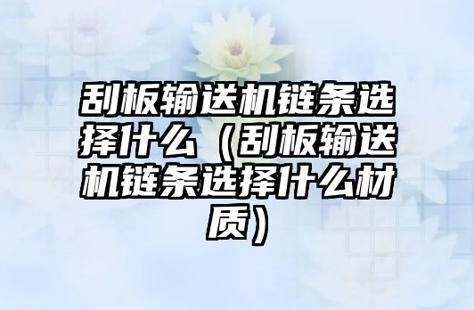 刮板輸送機鏈條選擇什么（刮板輸送機鏈條選擇什么材質(zhì)）