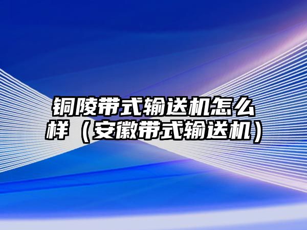 銅陵帶式輸送機怎么樣（安徽帶式輸送機）