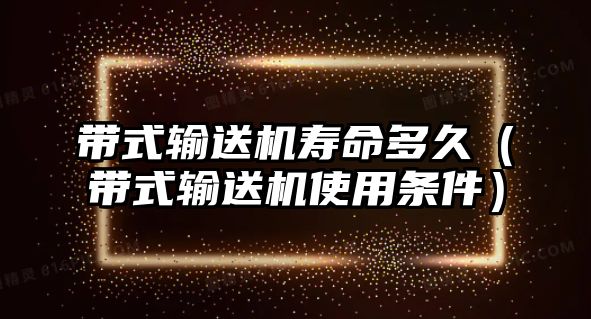 帶式輸送機(jī)壽命多久（帶式輸送機(jī)使用條件）