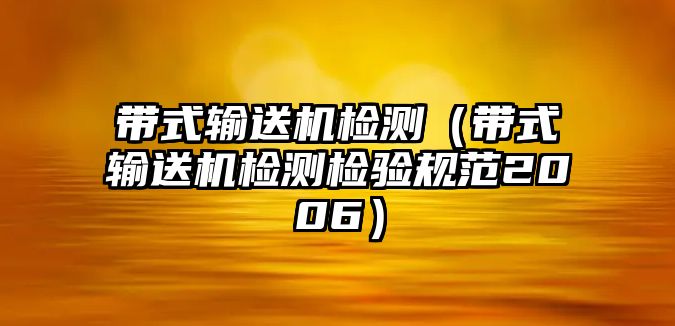 帶式輸送機(jī)檢測（帶式輸送機(jī)檢測檢驗(yàn)規(guī)范2006）