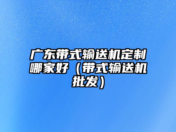 廣東帶式輸送機(jī)定制哪家好（帶式輸送機(jī)批發(fā)）