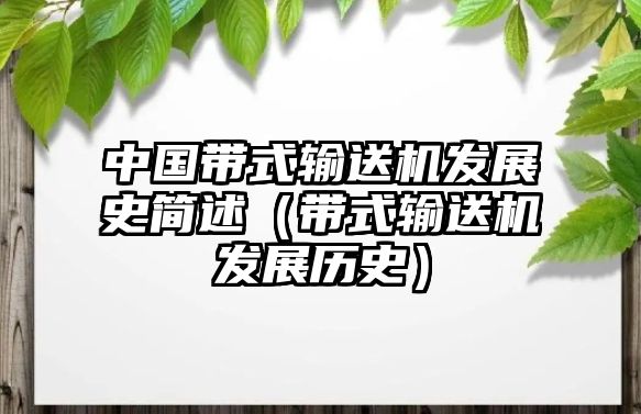 中國帶式輸送機(jī)發(fā)展史簡述（帶式輸送機(jī)發(fā)展歷史）