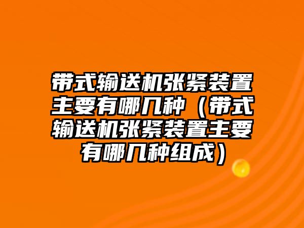 帶式輸送機(jī)張緊裝置主要有哪幾種（帶式輸送機(jī)張緊裝置主要有哪幾種組成）