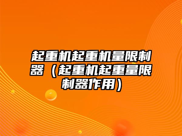 起重機起重機量限制器（起重機起重量限制器作用）