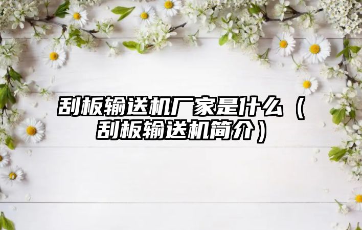 刮板輸送機(jī)廠家是什么（刮板輸送機(jī)簡(jiǎn)介）