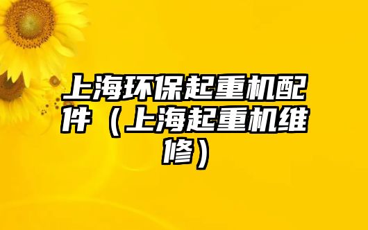 上海環(huán)保起重機配件（上海起重機維修）