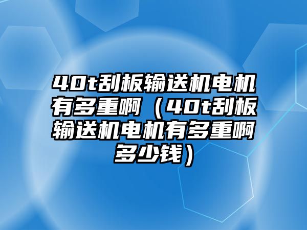 40t刮板輸送機(jī)電機(jī)有多重?。?0t刮板輸送機(jī)電機(jī)有多重啊多少錢）