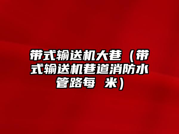 帶式輸送機(jī)大巷（帶式輸送機(jī)巷道消防水管路每 米）