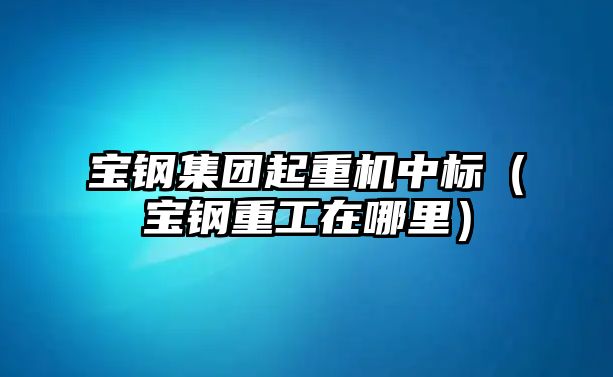 寶鋼集團起重機中標（寶鋼重工在哪里）